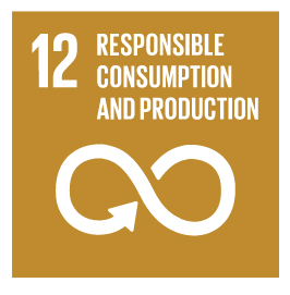 Responsible Consumption and Production